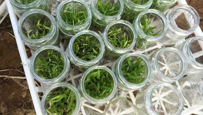 2015071811261153 2015071811261153