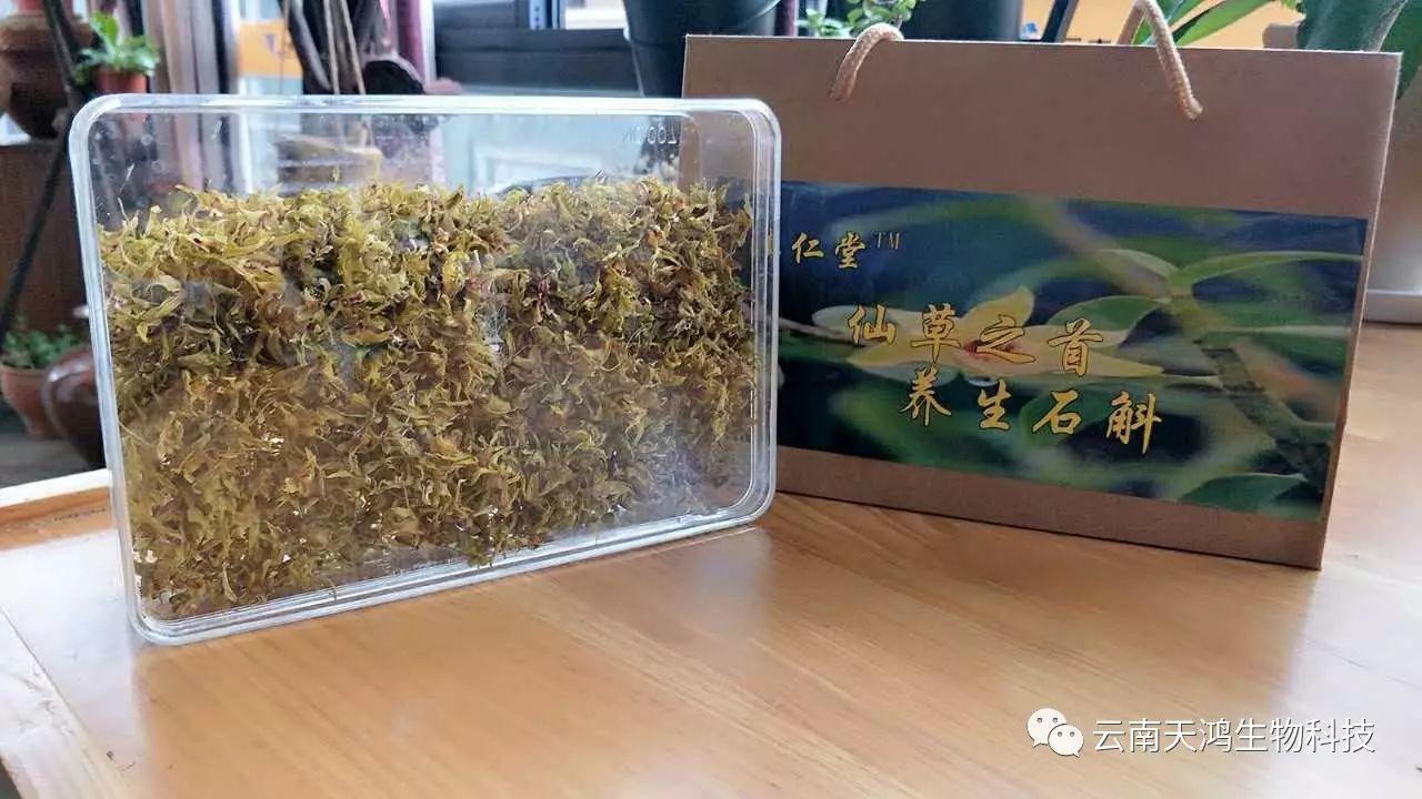 仙草之首 蟲(chóng)草之上---石斛花