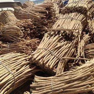 2017年最火中藥種植項目大匯總 2017年最火中藥種植項目大匯總