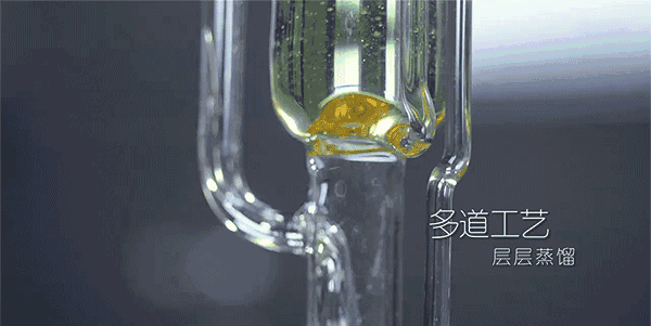 央視七套對“白芨面膜”的真實報道