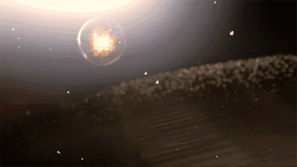 央視七套對“白芨面膜”的真實報道