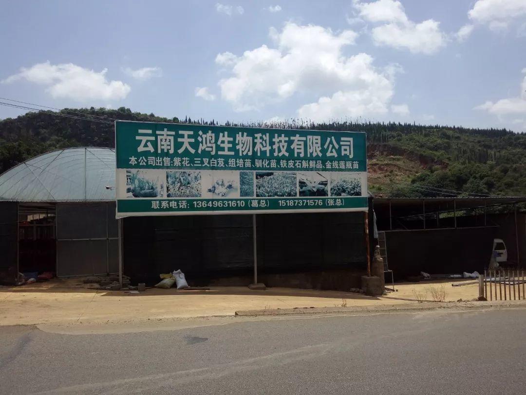 云南天鴻-----科技共享，共贏未來(lái)