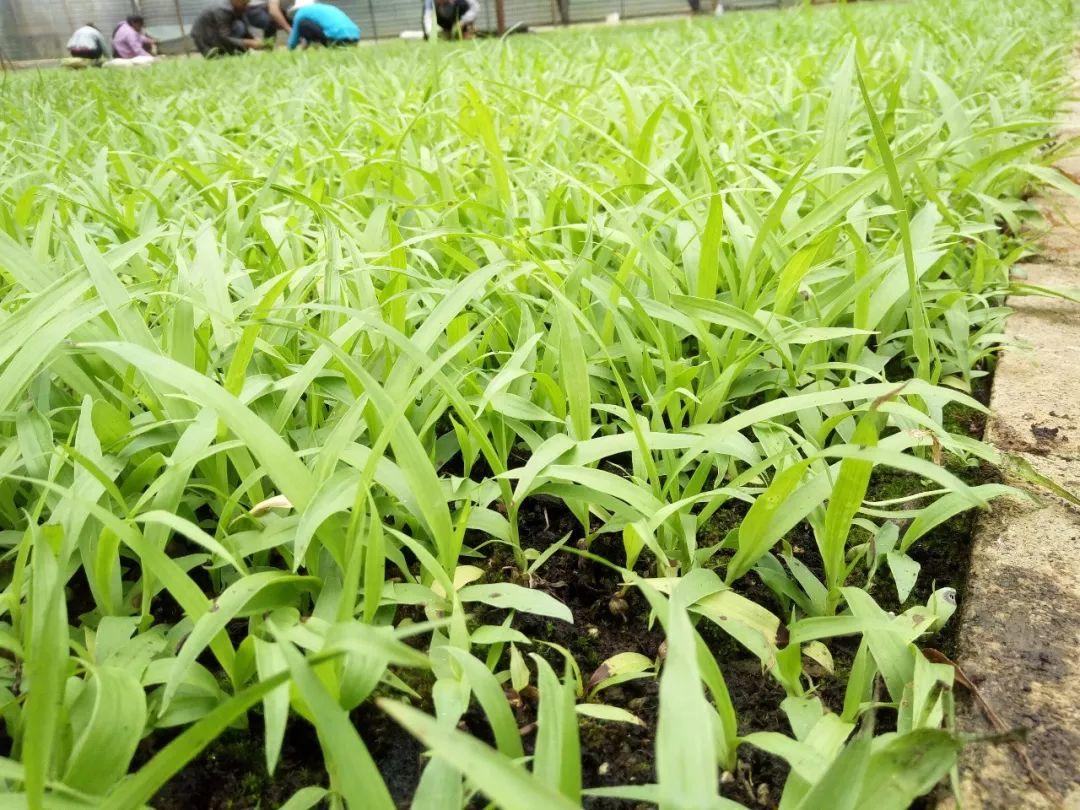 云南天鴻-----科技共享，共贏未來(lái)