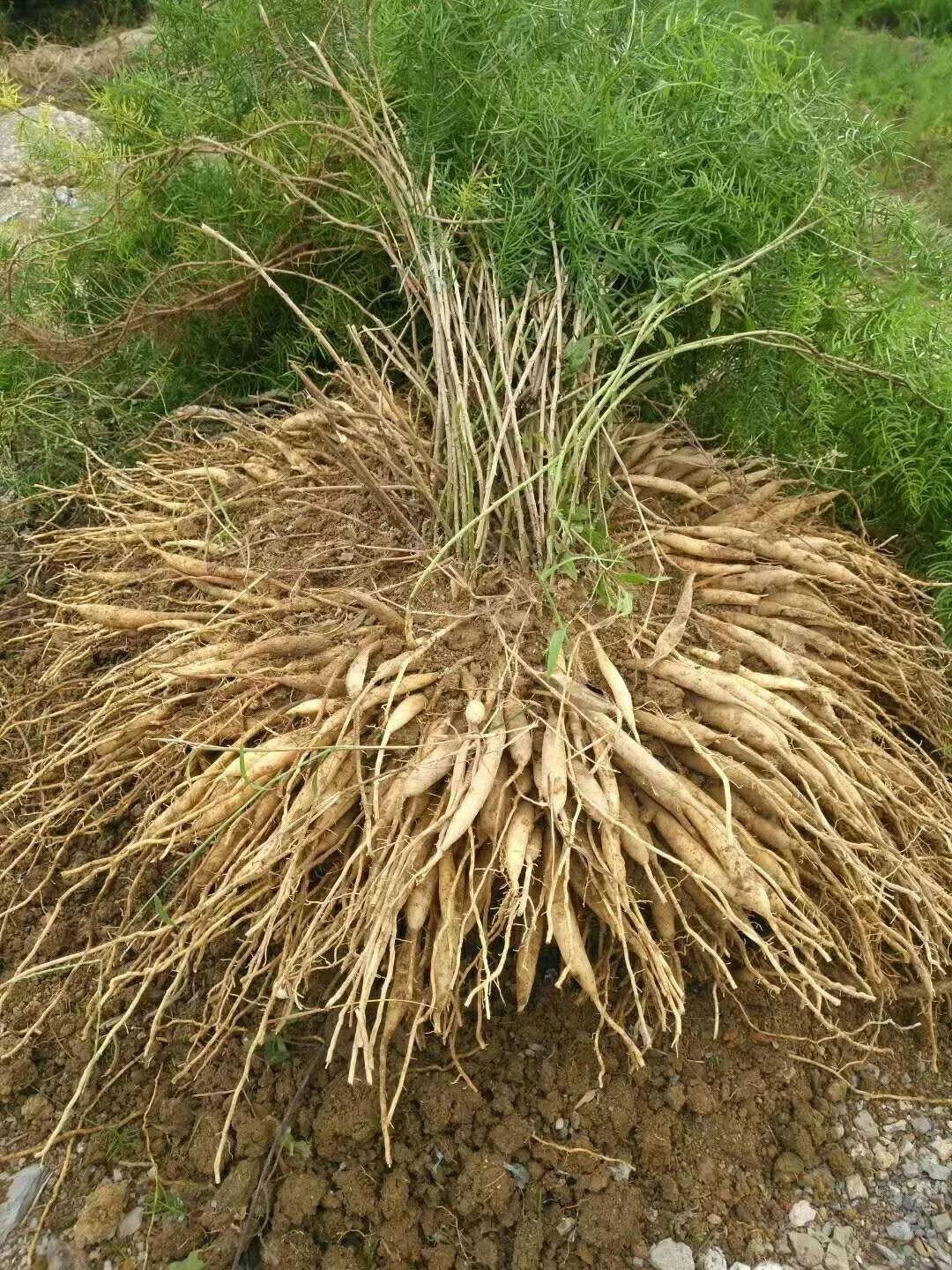 云南天鴻-----科技共享，共贏未來(lái)