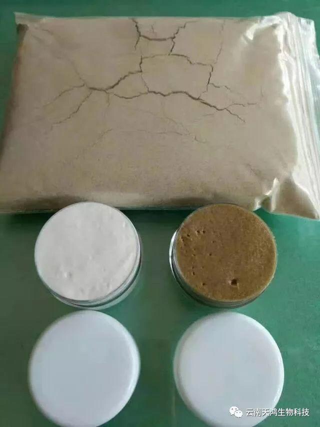 純中藥?kù)疃?，祛斑，祛粉刺，祛過(guò)敏藥膏，面膜粉（三天見效）