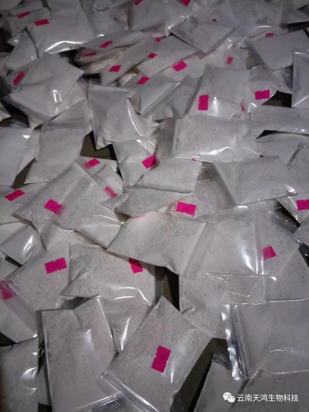 神奇除青苔除草劑實(shí)際效果圖和所有問(wèn)題說(shuō)明